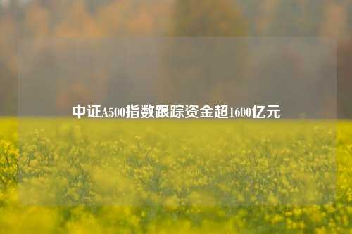 中证A500指数跟踪资金超1600亿元