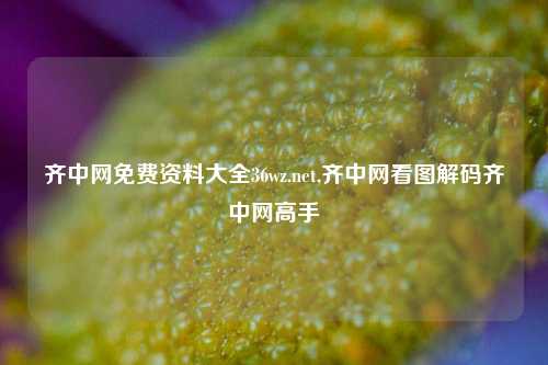 齐中网免费资料大全36wz.net,齐中网看图解码齐中网高手