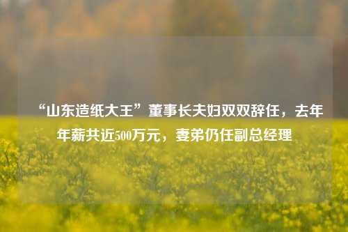 “山东造纸大王”董事长夫妇双双辞任，去年年薪共近500万元，妻弟仍任副总经理