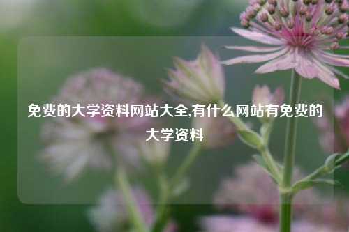 免费的大学资料网站大全,有什么网站有免费的大学资料