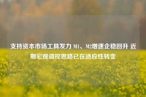 支持资本市场工具发力 M1、M2增速企稳回升 近期宏观调控思路已在适应性转变