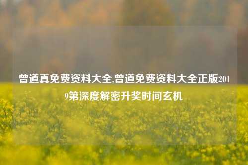 曾道真免费资料大全,曾道免费资料大全正版2019第深度解密升奖时间玄机