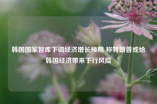 韩国国家智库下调经济增长预期 称特朗普或给韩国经济带来下行风险