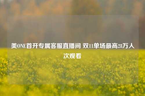 美ONE首开专属客服直播间 双11单场最高28万人次观看