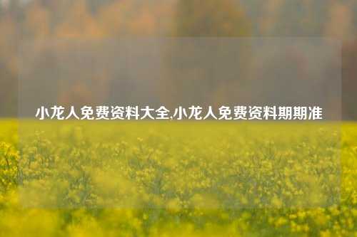 小龙人免费资料大全,小龙人免费资料期期准