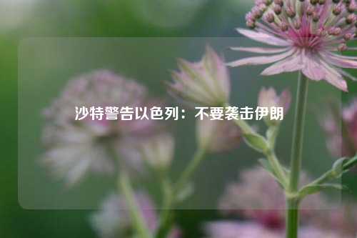 沙特警告以色列：不要袭击伊朗