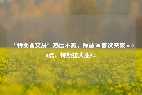 “特朗普交易”热度不减，标普500首次突破 6000点，特斯拉大涨9%