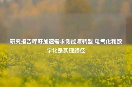 研究报告呼吁加速需求侧能源转型 电气化和数字化是实现路径