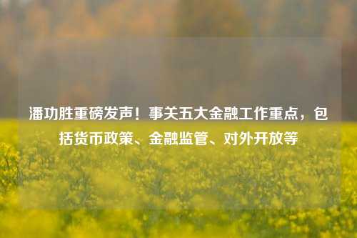 潘功胜重磅发声！事关五大金融工作重点，包括货币政策、金融监管、对外开放等