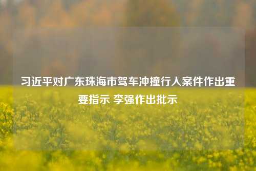 习近平对广东珠海市驾车冲撞行人案件作出重要指示 李强作出批示