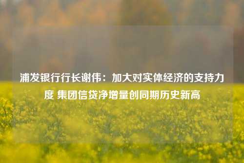 浦发银行行长谢伟：加大对实体经济的支持力度 集团信贷净增量创同期历史新高