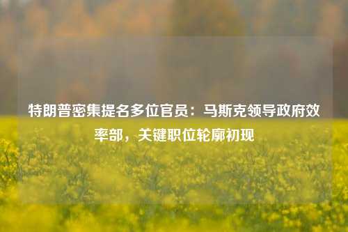 特朗普密集提名多位官员：马斯克领导政府效率部，关键职位轮廓初现