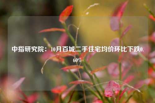 中指研究院：10月百城二手住宅均价环比下跌0.60%