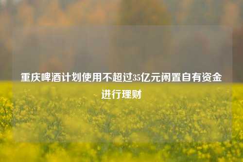 重庆啤酒计划使用不超过35亿元闲置自有资金进行理财