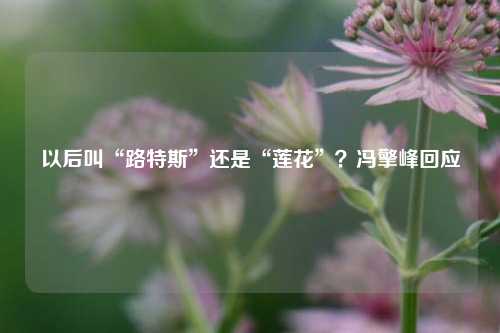 以后叫“路特斯”还是“莲花”？冯擎峰回应