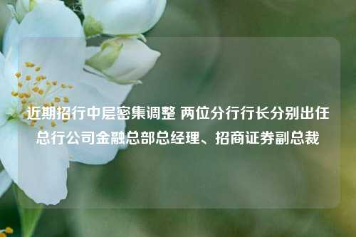 近期招行中层密集调整 两位分行行长分别出任总行公司金融总部总经理、招商证券副总裁