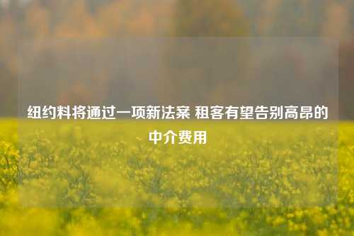 纽约料将通过一项新法案 租客有望告别高昂的中介费用