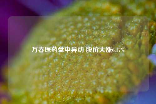 万春医药盘中异动 股价大涨6.17%