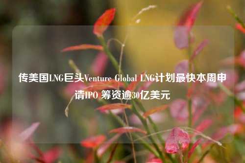 传美国LNG巨头Venture Global LNG计划最快本周申请IPO 筹资逾30亿美元