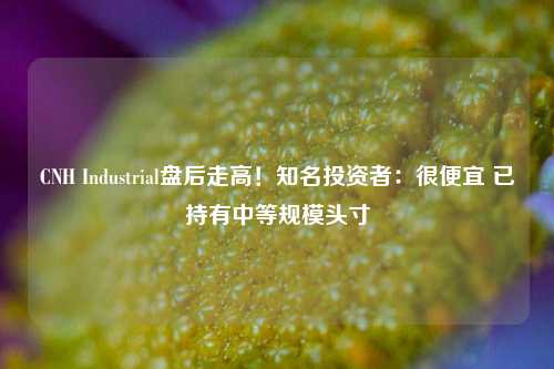 CNH Industrial盘后走高！知名投资者：很便宜 已持有中等规模头寸