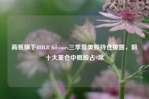 高瓴旗下HHLR Advisors三季度美股持仓披露，前十大重仓中概股占9席