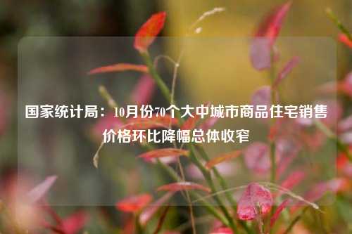 国家统计局：10月份70个大中城市商品住宅销售价格环比降幅总体收窄