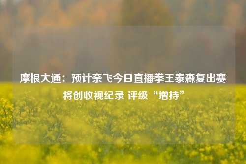 摩根大通：预计奈飞今日直播拳王泰森复出赛将创收视纪录 评级“增持”