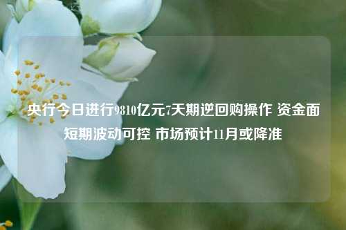 央行今日进行9810亿元7天期逆回购操作 资金面短期波动可控 市场预计11月或降准