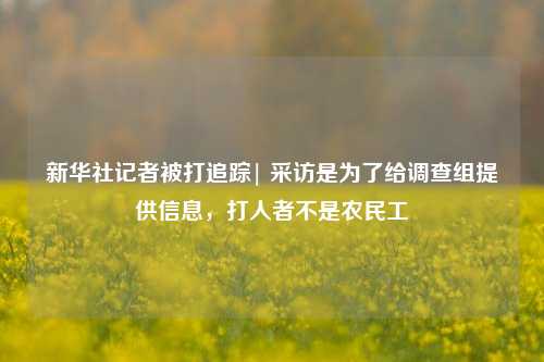 新华社记者被打追踪| 采访是为了给调查组提供信息，打人者不是农民工