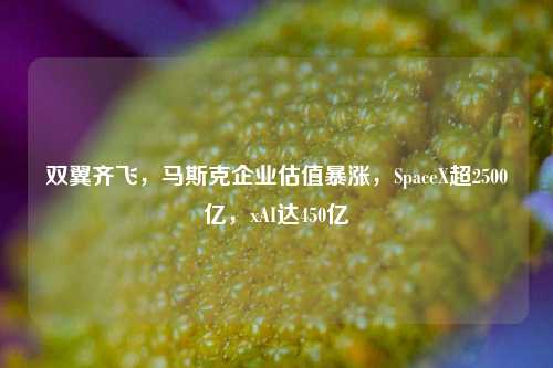 双翼齐飞，马斯克企业估值暴涨，SpaceX超2500亿，xAI达450亿