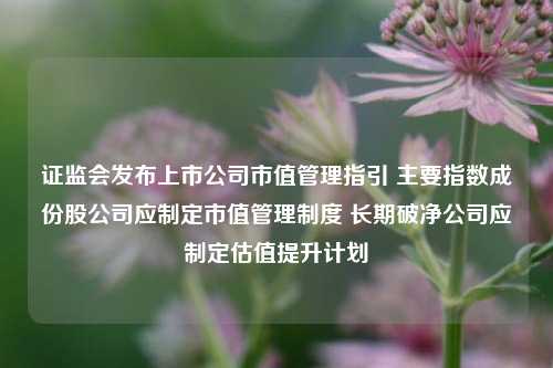 证监会发布上市公司市值管理指引 主要指数成份股公司应制定市值管理制度 长期破净公司应制定估值提升计划