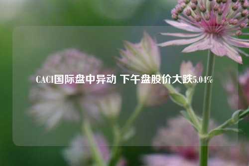 CACI国际盘中异动 下午盘股价大跌5.04%