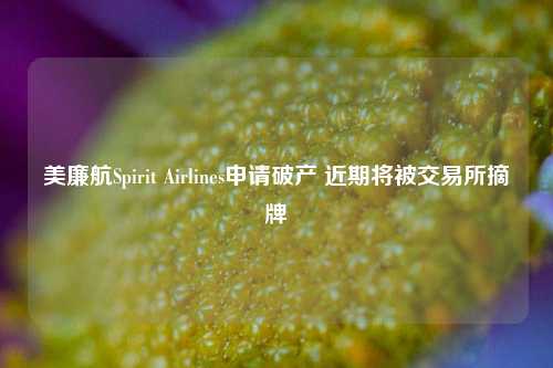 美廉航Spirit Airlines申请破产 近期将被交易所摘牌