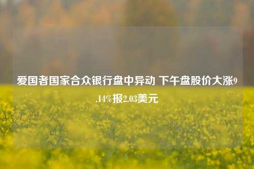 爱国者国家合众银行盘中异动 下午盘股价大涨9.14%报2.03美元