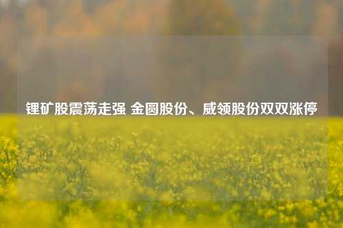 锂矿股震荡走强 金圆股份、威领股份双双涨停