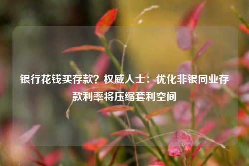 银行花钱买存款？权威人士：优化非银同业存款利率将压缩套利空间