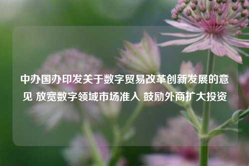 中办国办印发关于数字贸易改革创新发展的意见 放宽数字领域市场准入 鼓励外商扩大投资