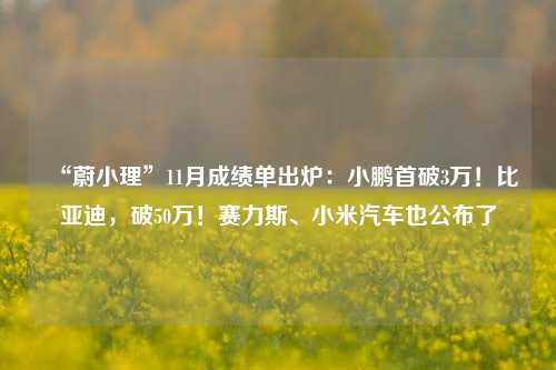 “蔚小理”11月成绩单出炉：小鹏首破3万！比亚迪，破50万！赛力斯、小米汽车也公布了