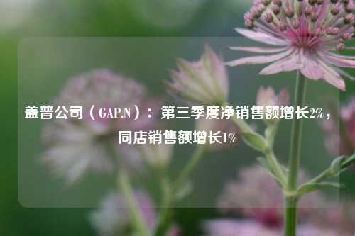 盖普公司（GAP.N）：第三季度净销售额增长2%，同店销售额增长1%