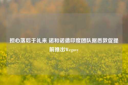 担心落后于礼来 诺和诺德印度团队据悉敦促提前推出Wegovy