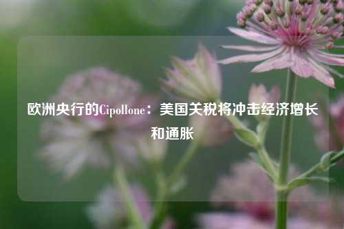 欧洲央行的Cipollone：美国关税将冲击经济增长和通胀