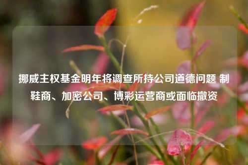 挪威主权基金明年将调查所持公司道德问题 制鞋商、加密公司、博彩运营商或面临撤资