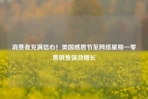 消费者充满信心！美国感恩节至网络星期一零售销售强劲增长