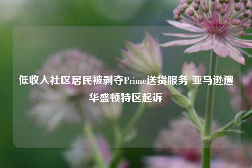 低收入社区居民被剥夺Prime送货服务 亚马逊遭华盛顿特区起诉