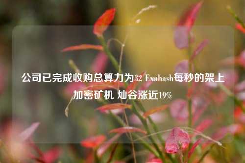 公司已完成收购总算力为32 Exahash每秒的架上加密矿机 灿谷涨近19%