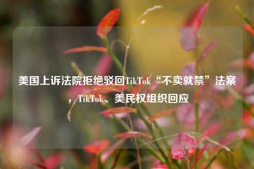 美国上诉法院拒绝驳回TikTok“不卖就禁”法案，TikTok、美民权组织回应