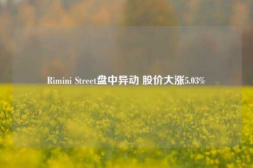 Rimini Street盘中异动 股价大涨5.03%