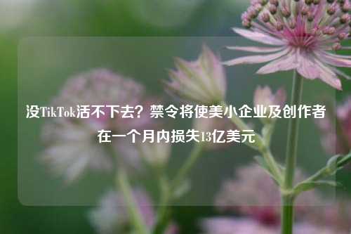 没TikTok活不下去？禁令将使美小企业及创作者在一个月内损失13亿美元