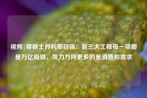 视频|摩根士丹利邢自强：新三大工程每一项都是万亿级别，发力方向更多的是消费和需求