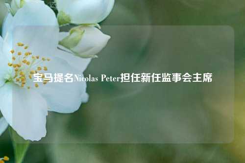 宝马提名Nicolas Peter担任新任监事会主席